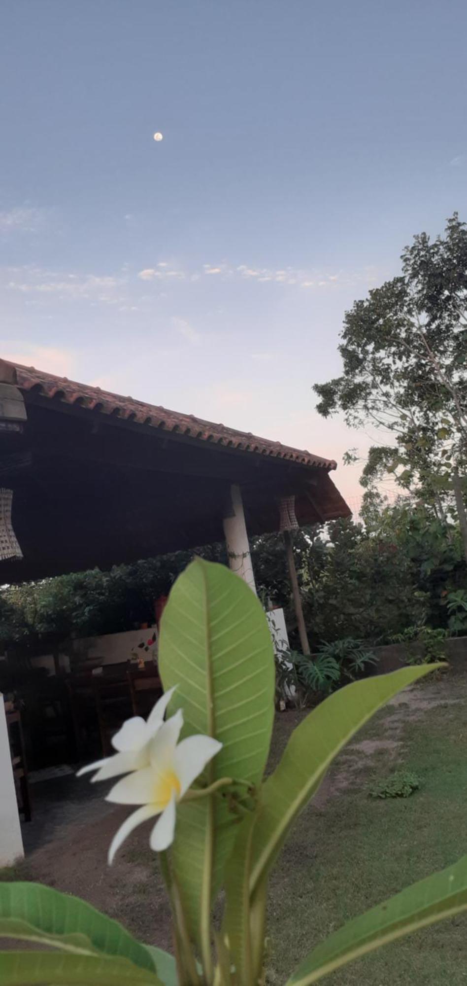 Pousada Reis Magos Nova Caraíva Exterior foto
